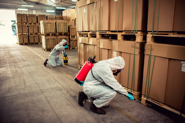 Best Exterminator Services  in Gahanna, OH