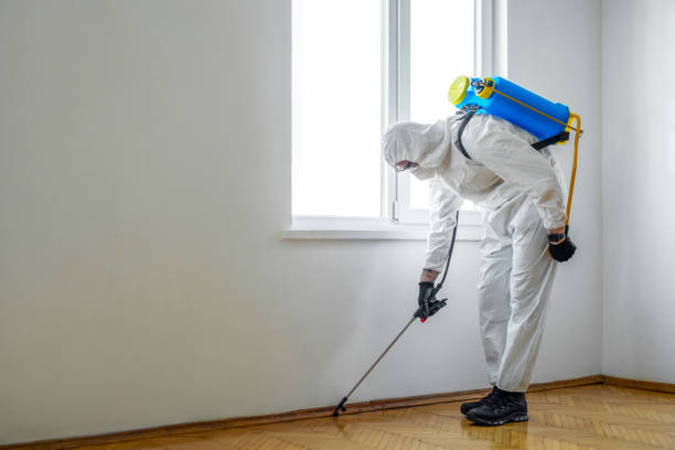 Professional Pest Control in Gahanna, OH