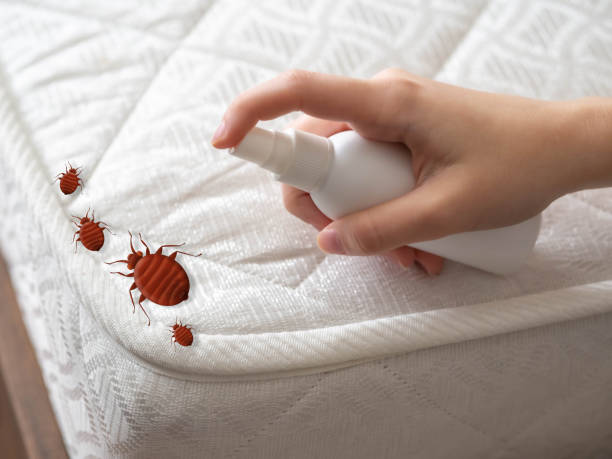Pest Control Cost in Gahanna, OH