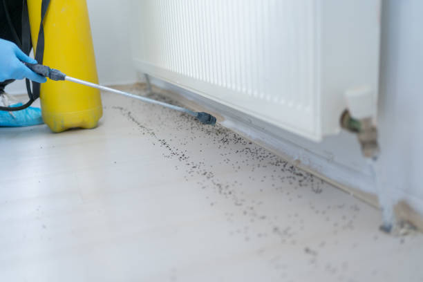 Best Cockroach Control Services  in Gahanna, OH