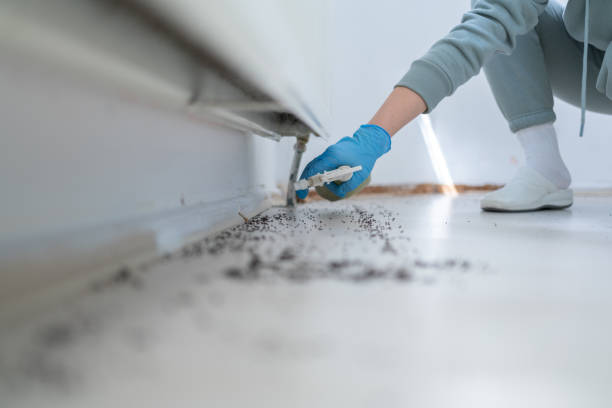 Best Bed Bug Extermination  in Gahanna, OH